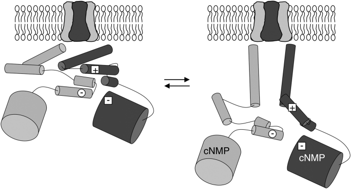 Figure 10. 