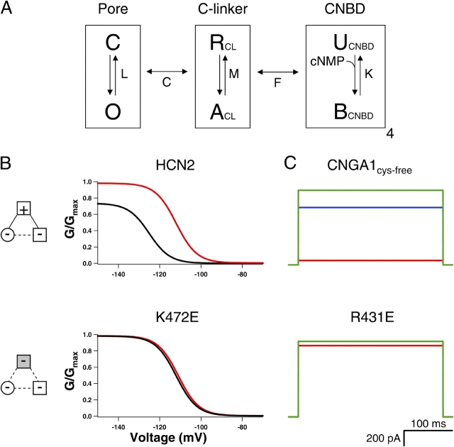 Figure 9. 