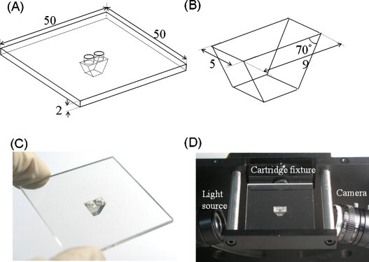 Fig. 1