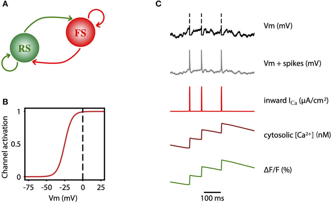 Figure 7