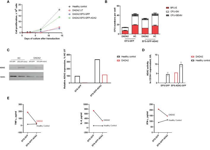 Figure 2