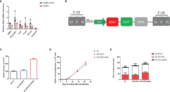 Figure 1