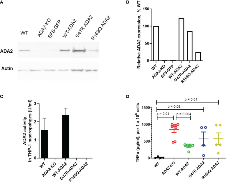 Figure 4