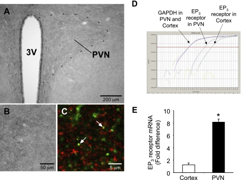 Fig. 9.