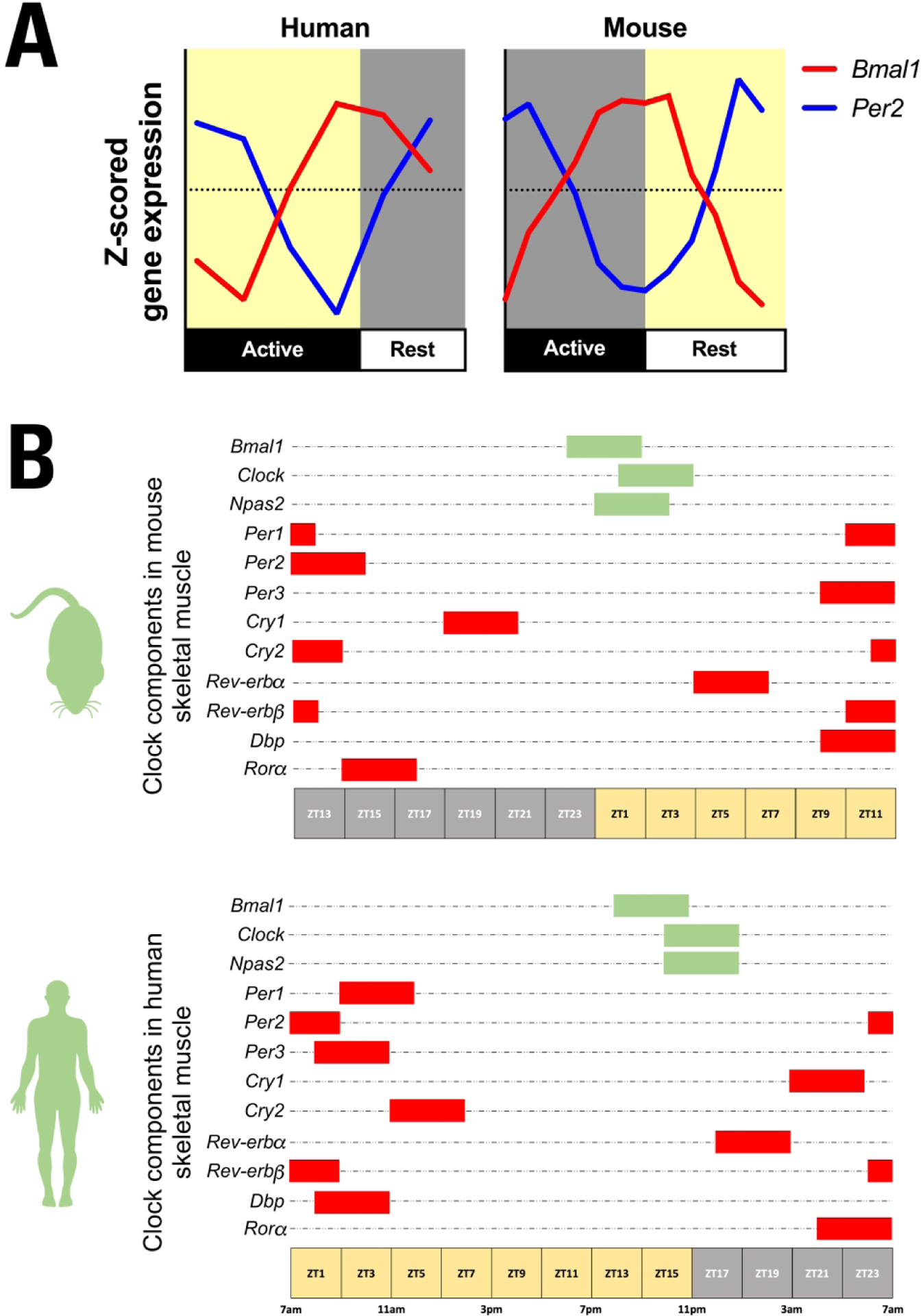 Figure 2: