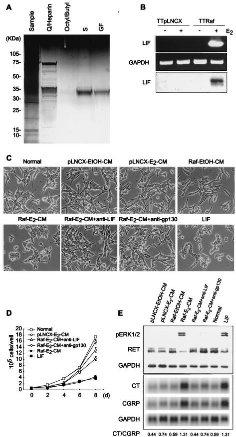 FIG.2.