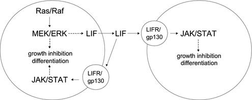 FIG. 7.