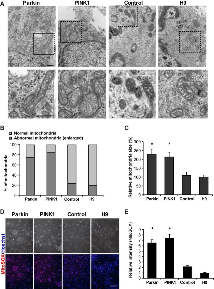 Figure 2