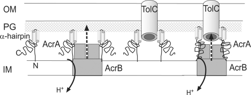 FIG. 5.