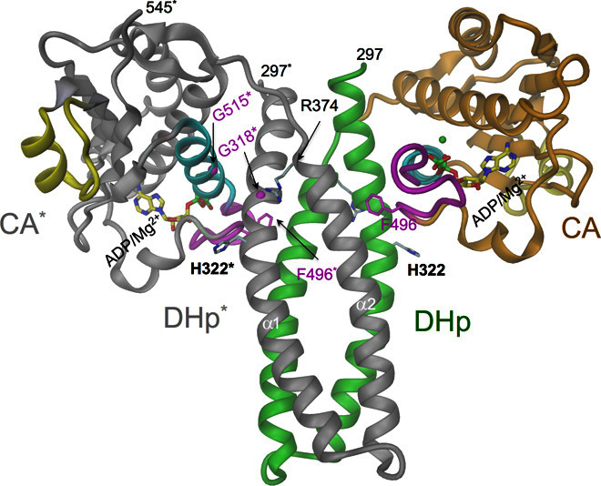 Fig. 2