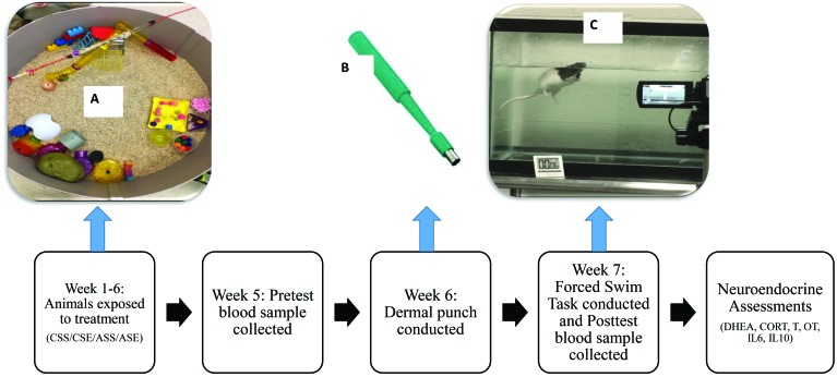 Figure 1.