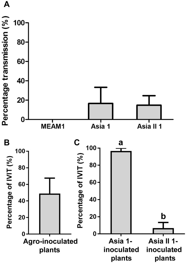 Figure 6.