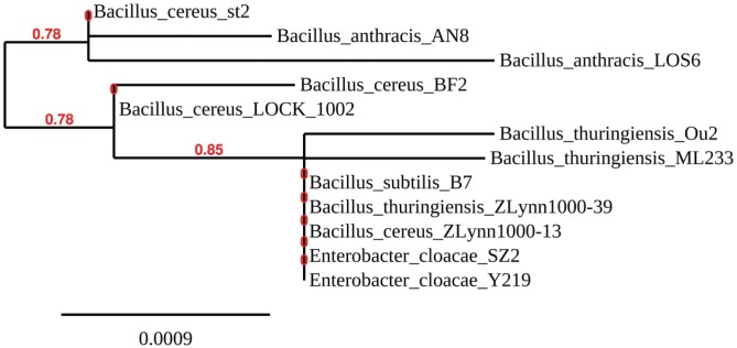 Figure 2.