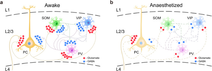 Fig 6