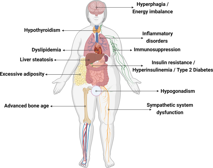 Figure 2