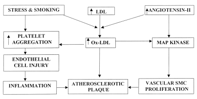 Figure 1)