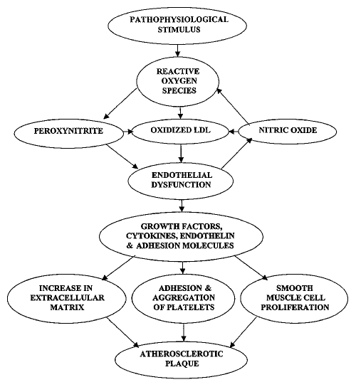 Figure 2)