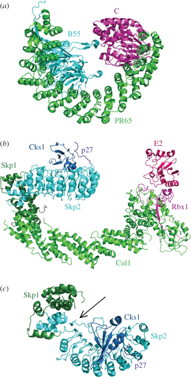 Figure 7.