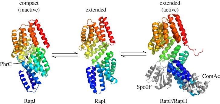 Figure 2.