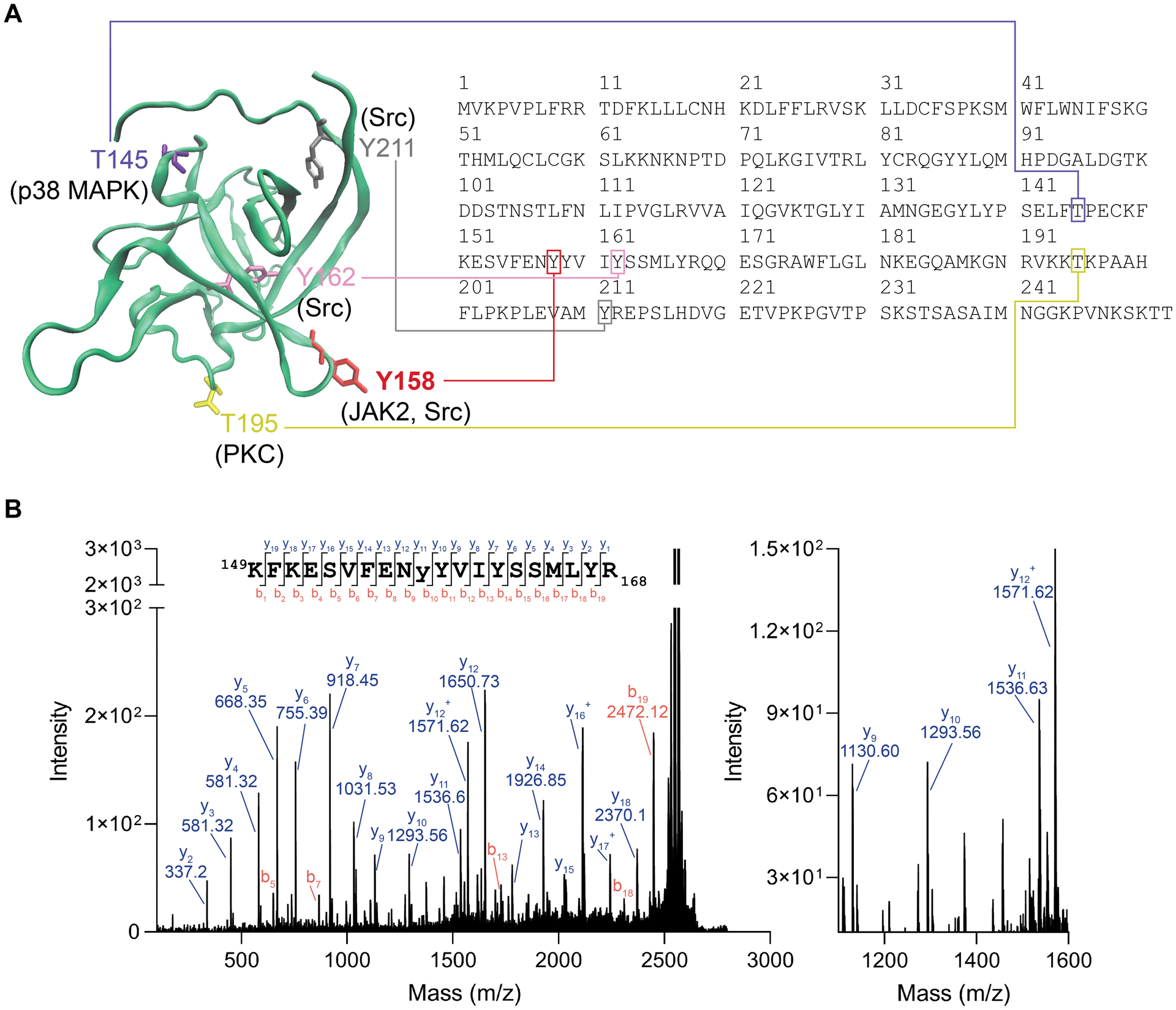 Figure 5.