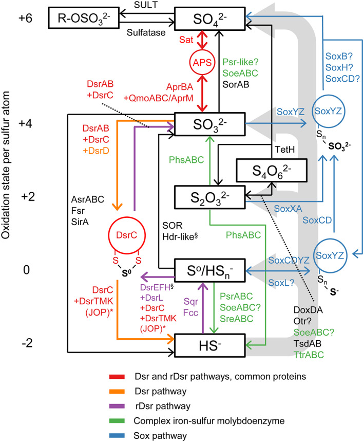 Fig 2