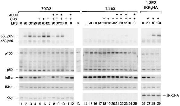 FIG. 7