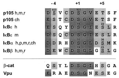 FIG. 8