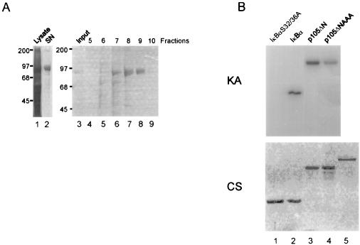 FIG. 1