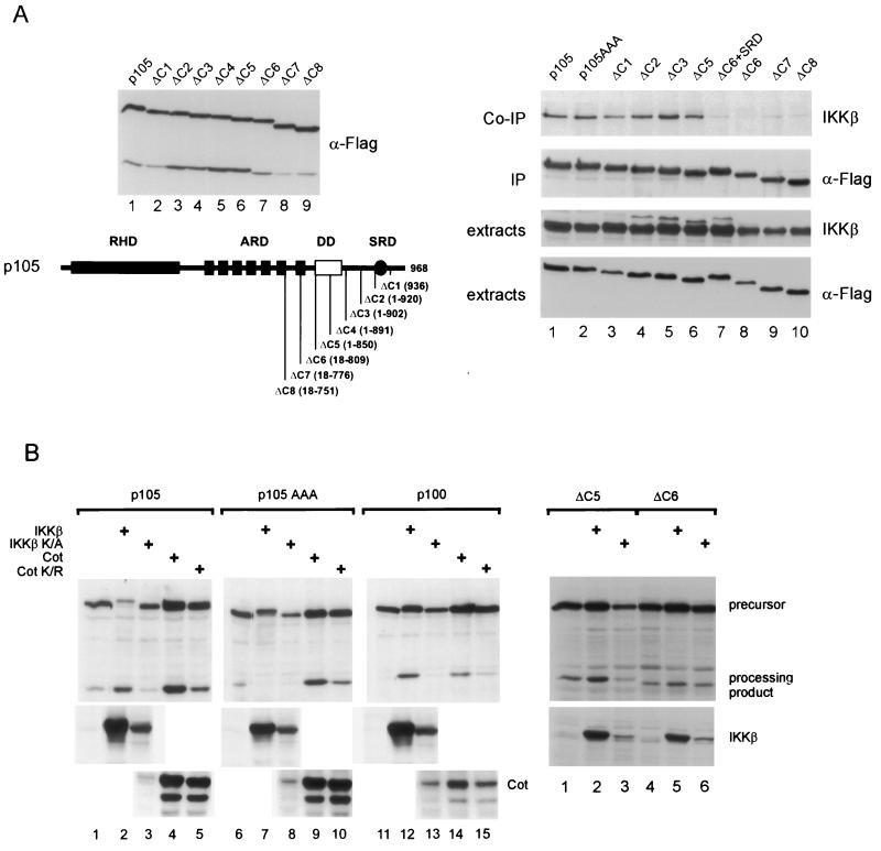 FIG. 6