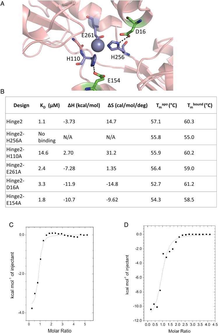 Fig. 4