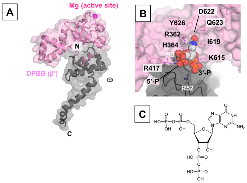 Figure 3.