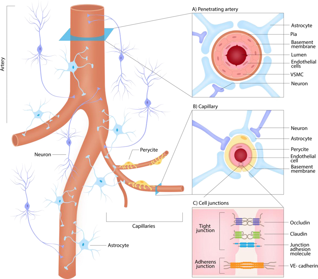 Figure 2-