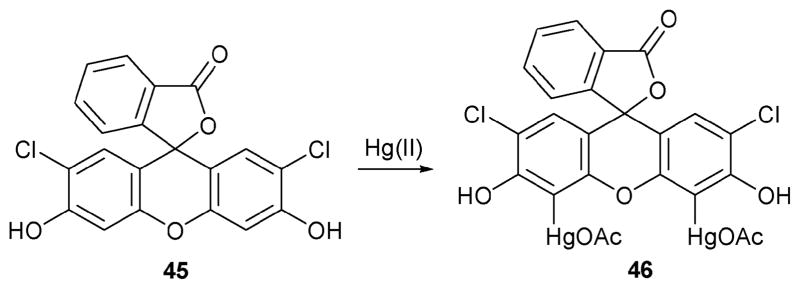 Scheme 19