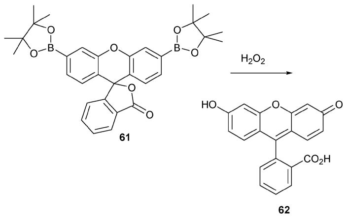 Scheme 27