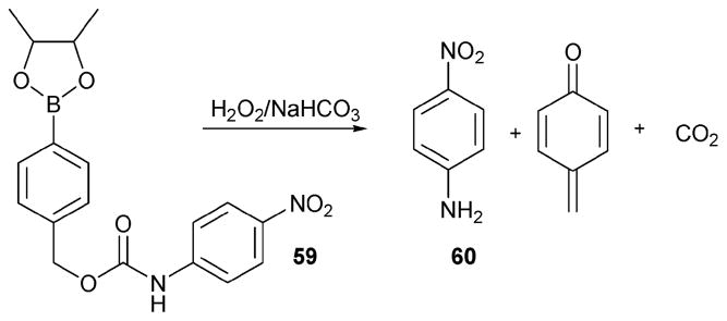 Scheme 26