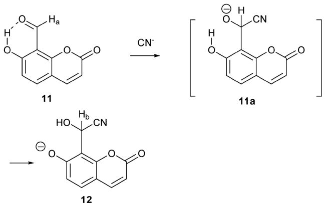 Scheme 5