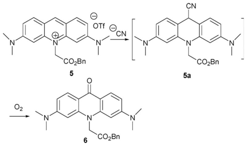 Scheme 3