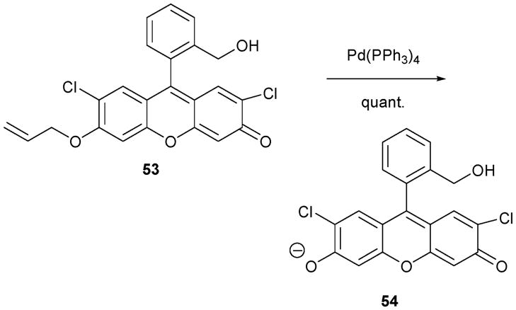 Scheme 23