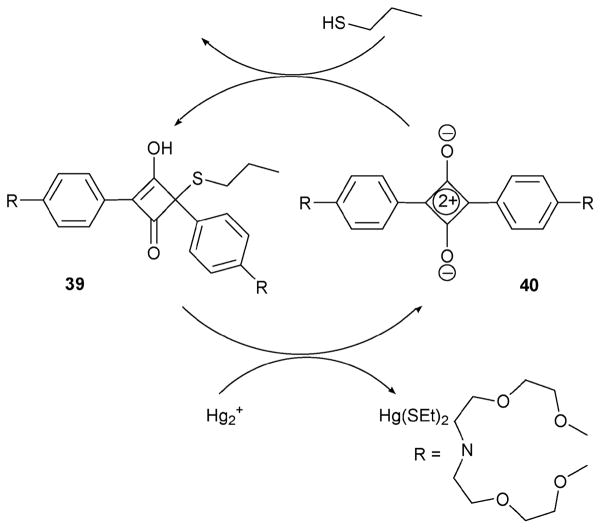 Scheme 16