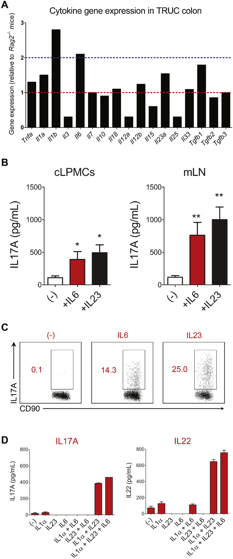 Figure 2