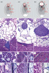 F<sc>ig</sc>. 8.