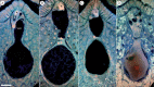 F<sc>ig</sc>. 5.