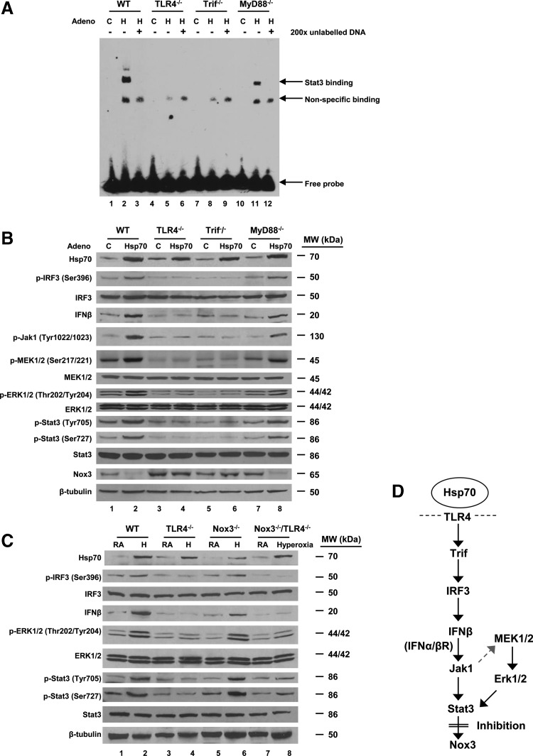 FIG. 8.