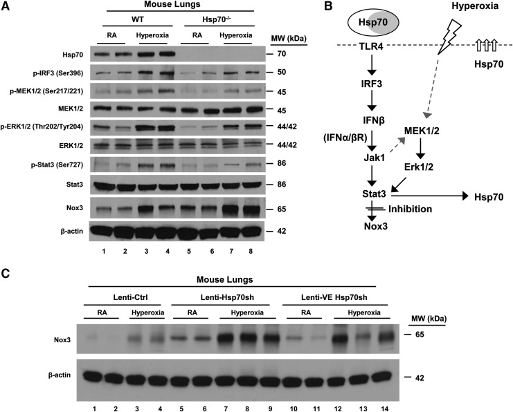 FIG. 10.