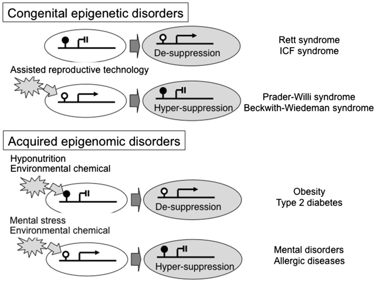 Figure 2: