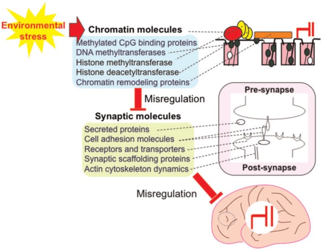 Figure 1: