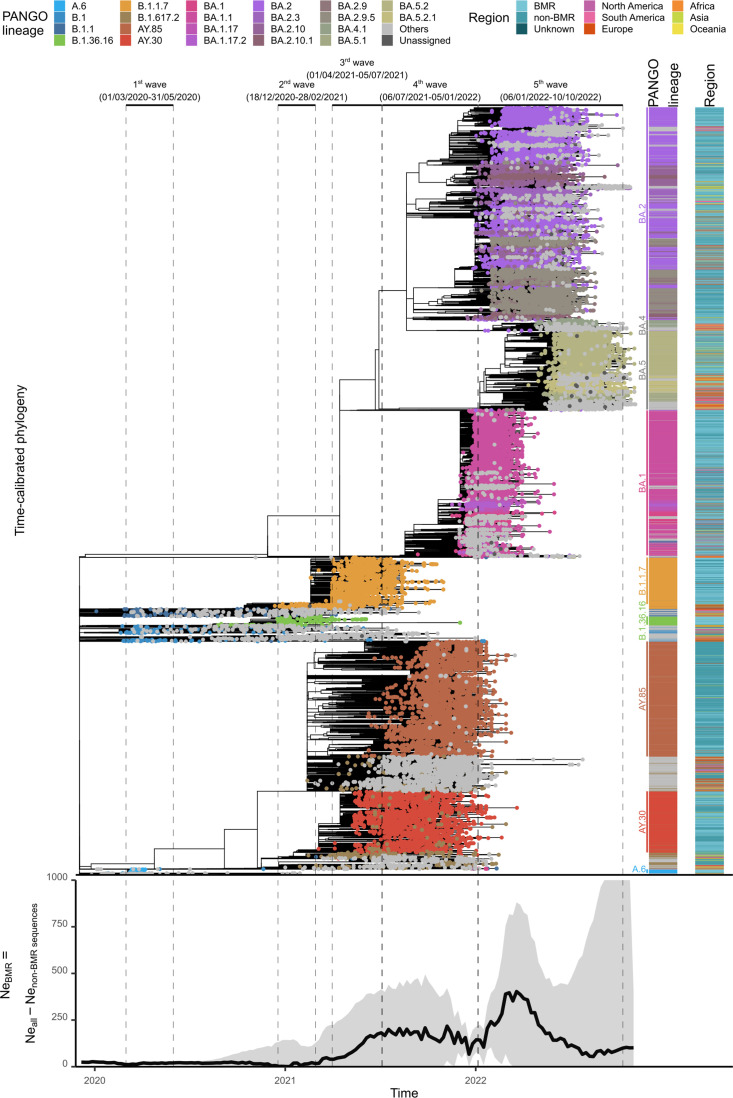 Fig. 3.