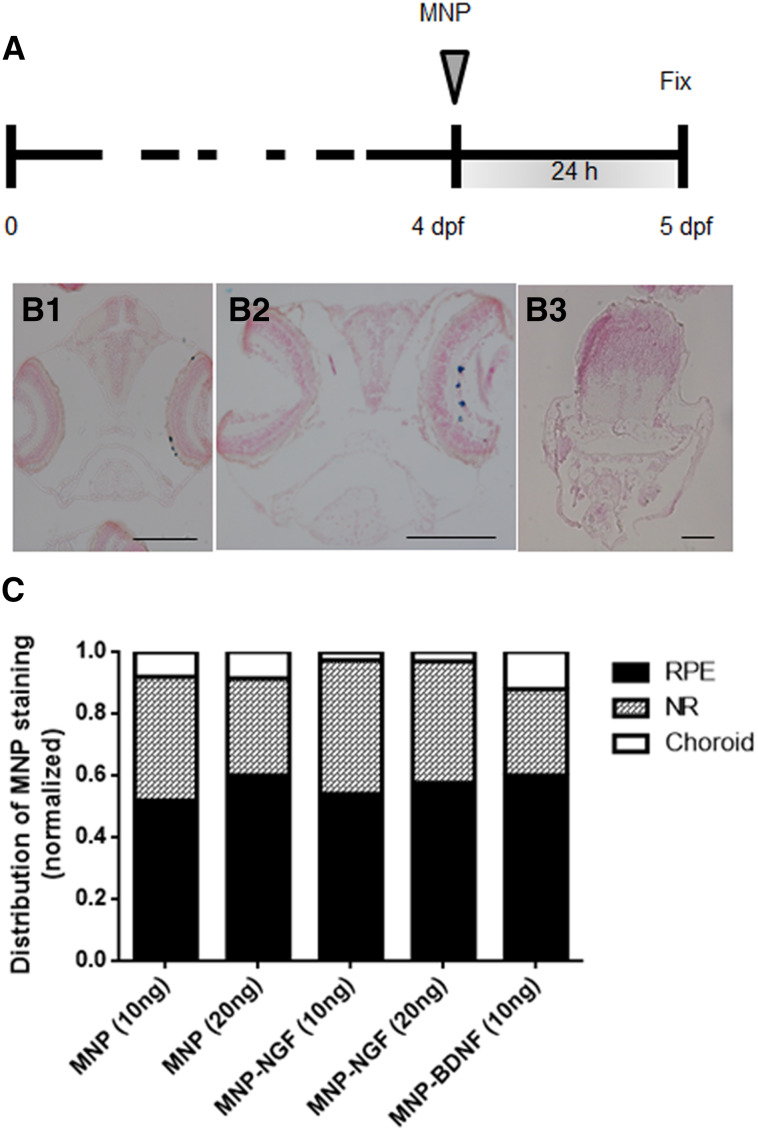 Fig. 3