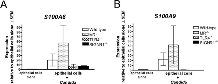 FIG 4