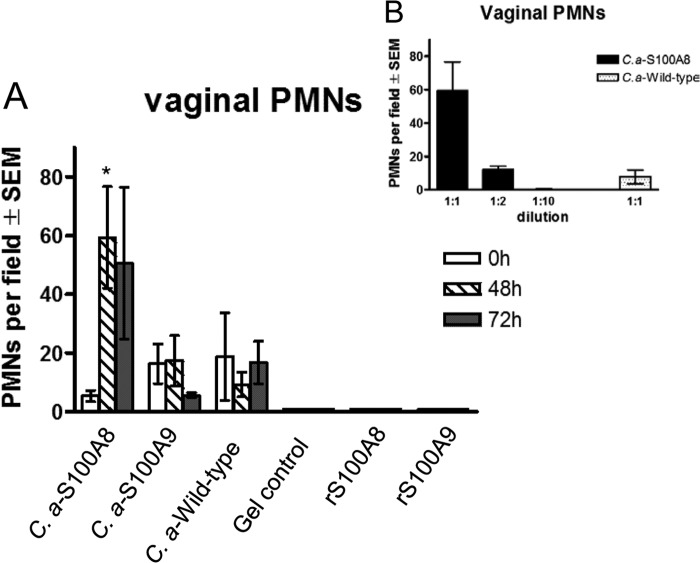 FIG 1